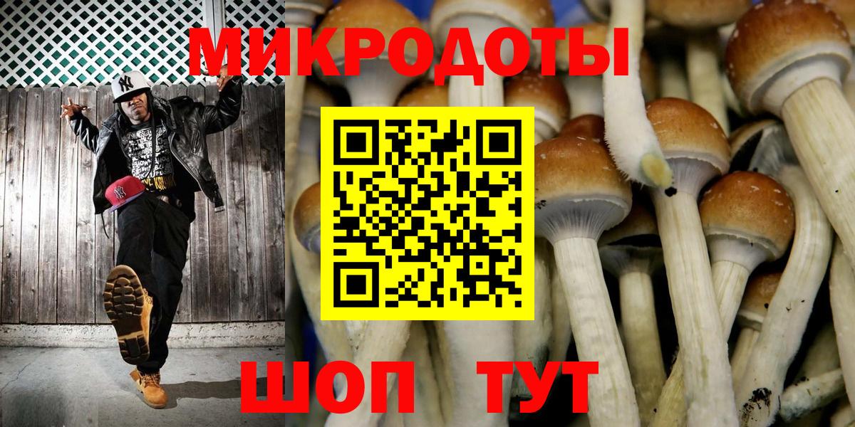 Галлюциногенные грибы ЛСД Великий Устюг