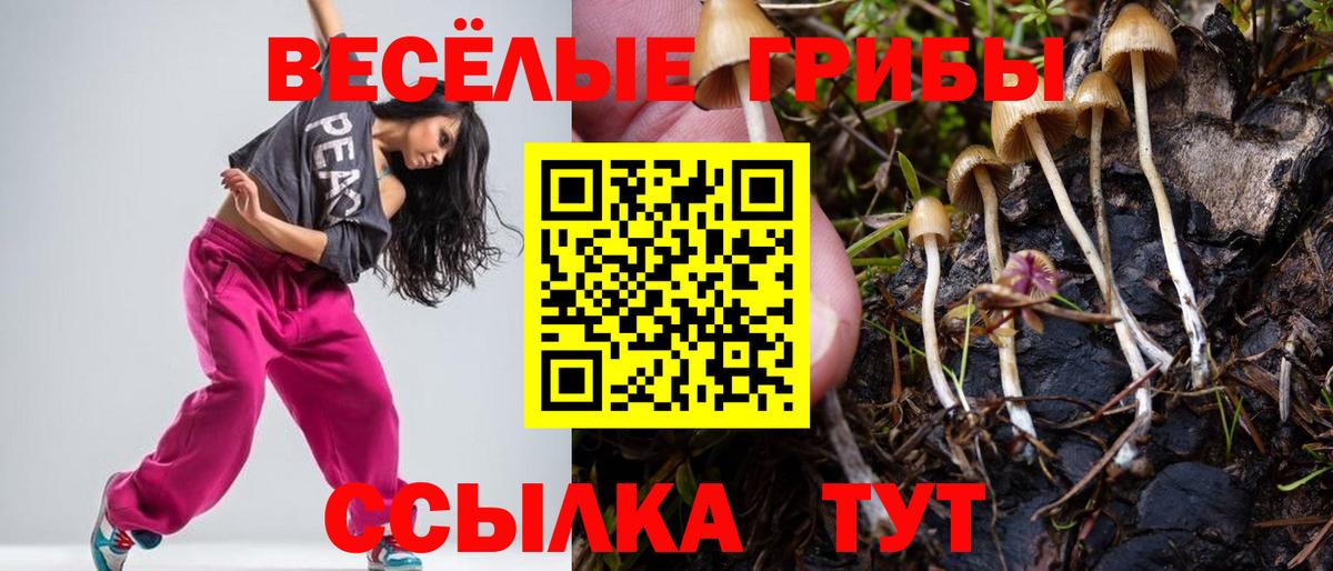 Великий Устюг  Псилоцибиновые грибы прущие грибы  Псилоцибиновые грибы прущие грибы  Вход с VPN 